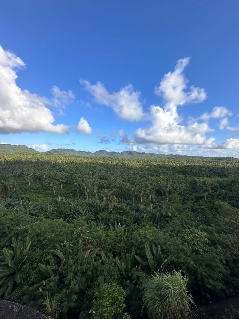 Coconut View Deck, Siargao