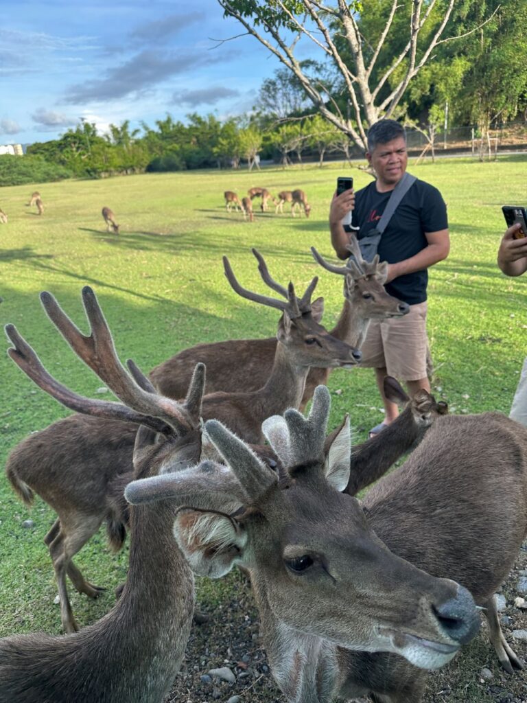 Jason with Deers at Baluarte