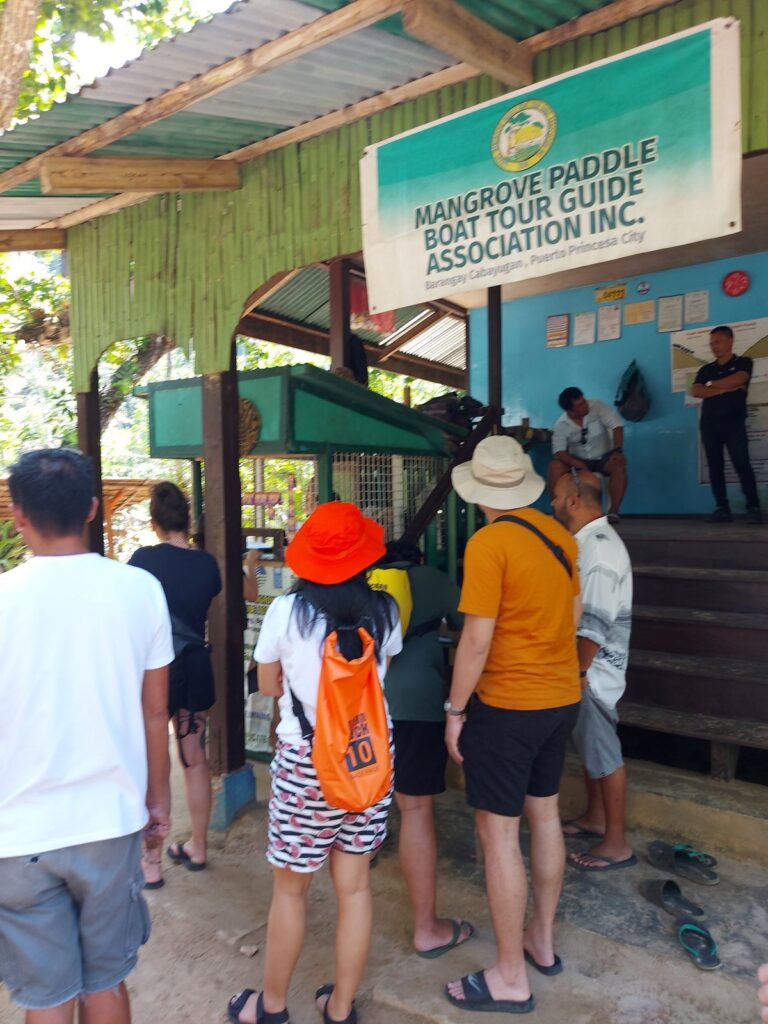 mangrove paddle boat tour